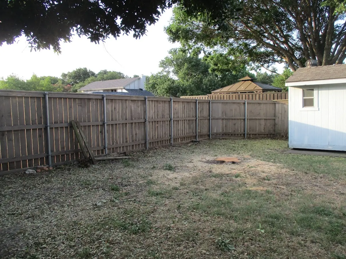 Cleared yard after professional tree removal in Bethel Park